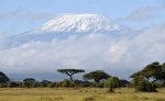 kilimanjaro-climbing.jpg