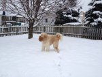 20121229_185734624_iOS.jpg