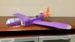 800mm Chipmunk Purp-co.jpg