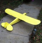 cub4.jpg