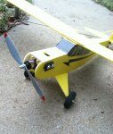 cub6.jpg