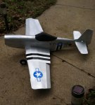 Mustang2.jpg