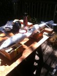 Supporting Fuse for Glueing - 0.JPG