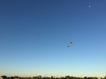 FT_Storch_Soaring_w_Moon.JPG
