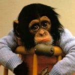 sadmonkey.jpg