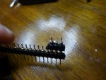 DSC02936.JPG