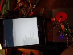 DSC02988.jpg