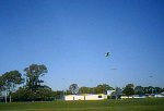 Fly By1.jpg