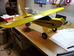 SP0NZ-Simple Cub 01-1.png