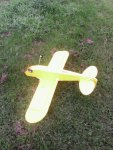 cub1.jpg