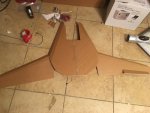F-14 wing3.JPG