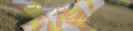 Screen Shot 2018-06-24 at 9.46.29 PM.png