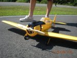 T-6.jpg