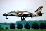 IAR-99_8.jpg