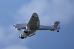 _DSC0294NF.jpg