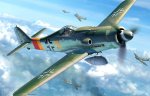 fw-190d-9.jpg