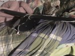 IMG_1220.JPEG