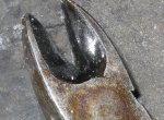 IMGP3757.JPG