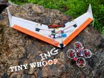 Tiny Whing Whoop.jpg