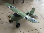 Cub - 1.jpg