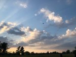 IMG_1408.jpeg