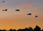 IMG_9264.jpg