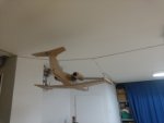 IMG_20190805_180926.jpg