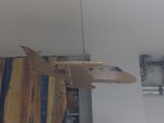 IMG_20190805_180956.jpg