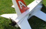 ap_goshawk_p04.jpg