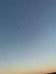 IMG_20220712_204610.jpg
