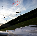 AIM-7 in flight.PNG