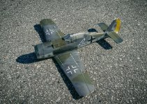 IMG_5289.jpg