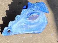 IMG_3815.jpeg