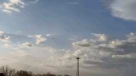 vid1.gif