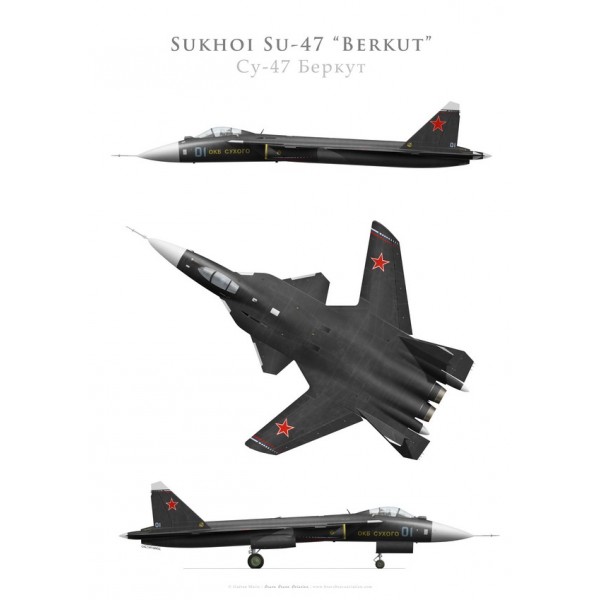 sukhoi-su-47-berkut-prototype.jpg