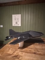 IMG_1723.jpeg