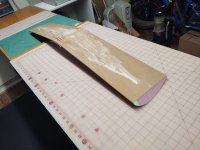Wing tips sawn.jpg