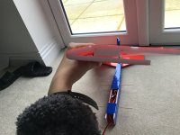 IMG_3791.jpeg