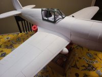 20250320_064632.jpg