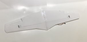 IMG_5925.jpeg
