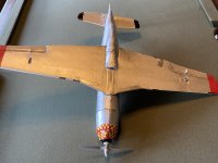IMG_0845.jpeg