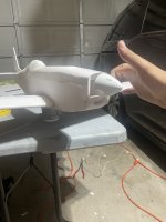 IMG_9524.jpeg