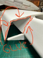 IMG_4768.jpeg