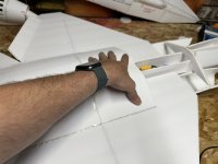 IMG_4980.jpeg