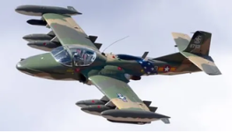 dragonfly.png