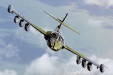dragonfly.jpg
