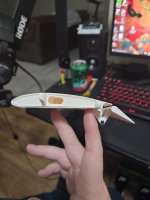 flaps down.jpg