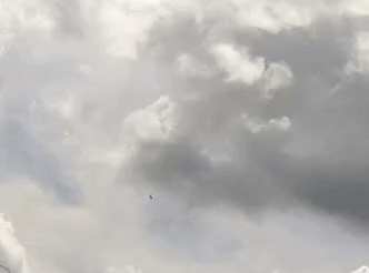 Saab105Spin.gif
