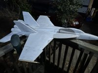 IMG_9254.jpeg