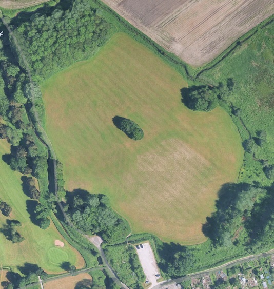 MyField.jpg